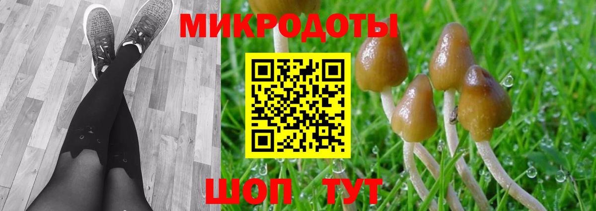 Псилоцибиновые грибы MAGIC MUSHROOMS Калуга